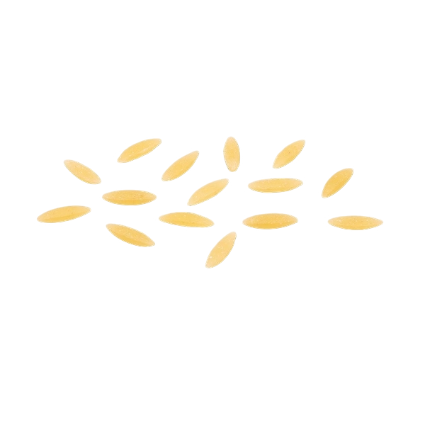 DE CECCO PASTINA DI SEMOLA PUNTALETTE N.73 500 GR (24 in a box)