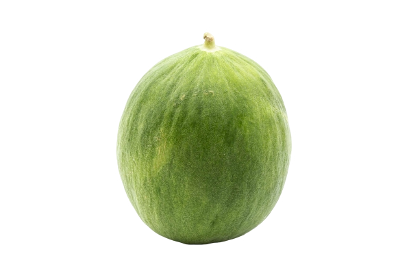 FRESH VEGETABLES CUCUMBER BARATTIERE £6.37 AL KG (APPROX 4.95 KG) - ONLY LONDON AREA