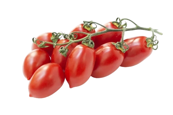 FRESH VEGETABLES TOMATO PICCADILLY £6.56 AL KG (APPROX 7.3 KG) - ONLY LONDON AREA