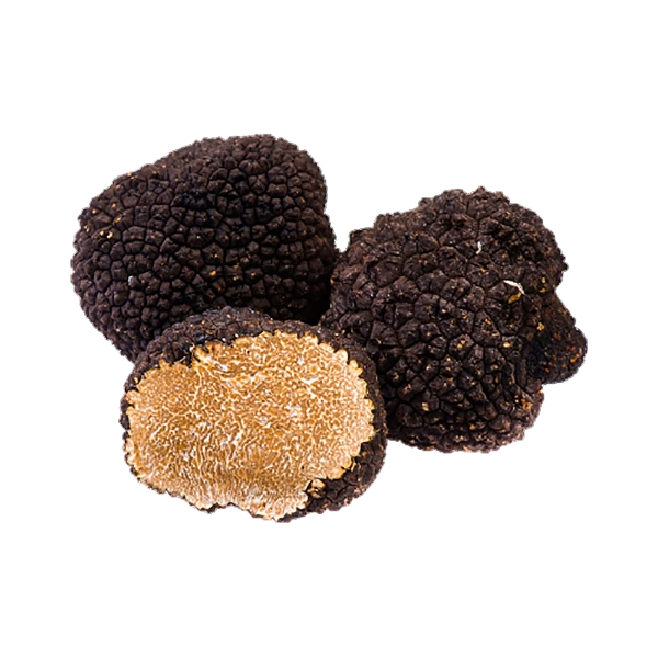 URBANI TARTUFI ESTIVI WHOLE 25 GR (12 in a box)
