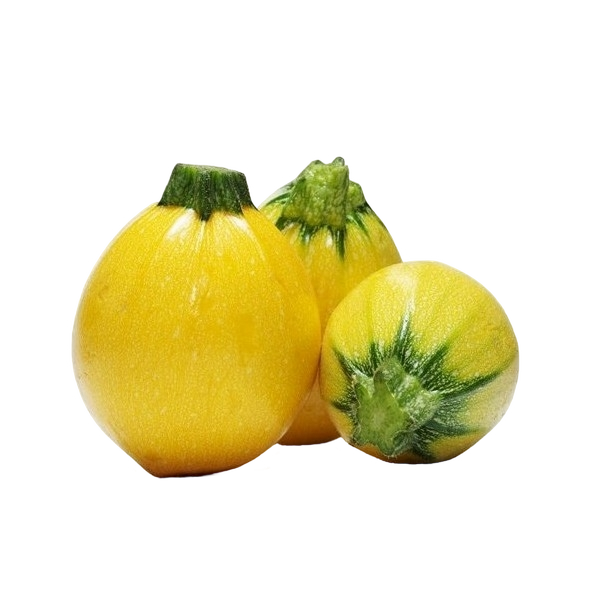 FRESH VEGETABLES COURGETTES ROUND YELLOW £4.31 AL KG (APPROX 7.8 KG) - ONLY LONDON AREA