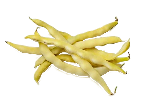 FRESH VEGETABLES BEANS FLAT WHITE TACCOLE £7.5 AL KG (APPROX 3.9 KG) - ONLY LONDON AREA
