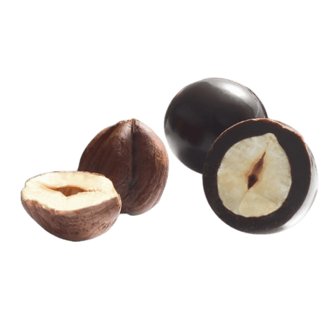 FATINA DRIED FRUITS HAZELNUTS COVERED CHOCOLATE MIX 160 GR (12 in a box)