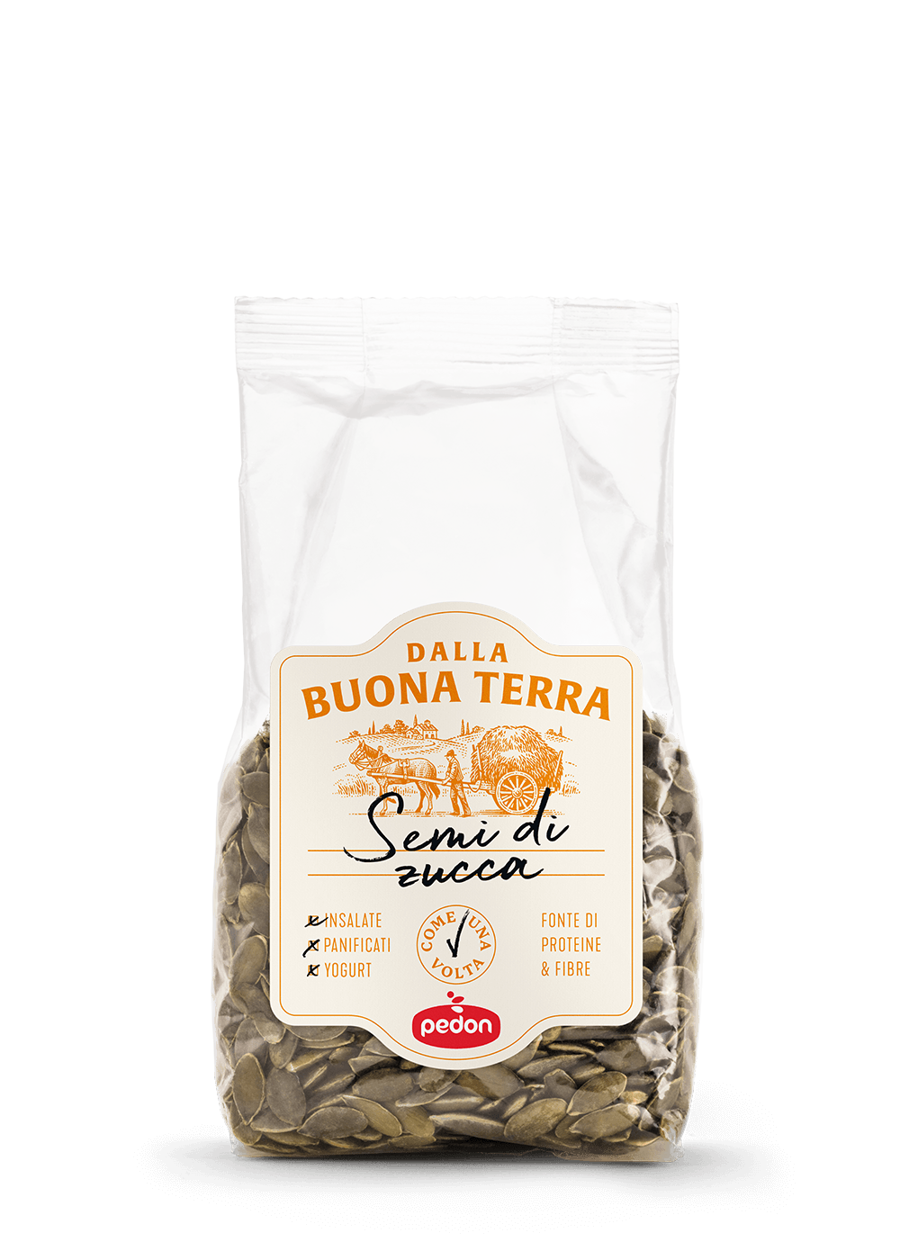 PEDON BUONA TERRA SEEDS PUMPKIN 250 GR (12 in a box)