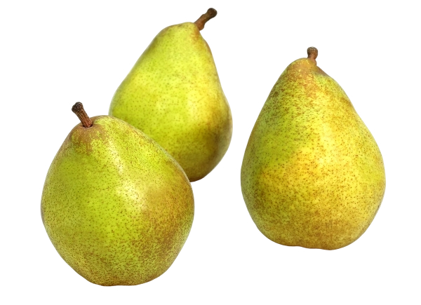 FRESH FRUITS PEARS COMICE WAX TIP 16 £4.63 AL KG (APPROX 3.95 KG) - ONLY LONDON AREA