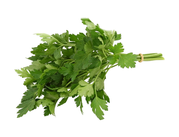 FRESH VEGETABLES PARSLEY FLAT BIG LEAVES (1 in a box ) - ONLY LONDON AREA