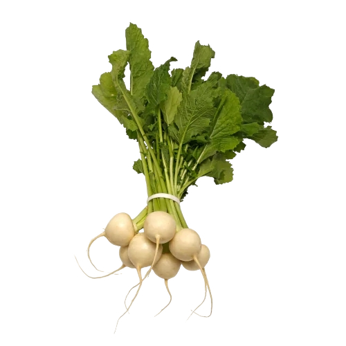 FRESH VEGETABLES TURNIPS TOKYO (1 in a box) - ONLY LONDON AREA