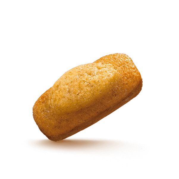 MULINO BIANCO SNACK WHOLEMEAL PLUMCAKE INTEGRALI X10 330 GR (10 in a box)