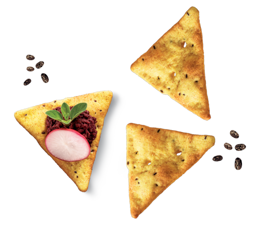 MISURA PROTEIN SFOGLIE CRACKERS WITH CHIA SEEDS 170 GR (10 in a box)