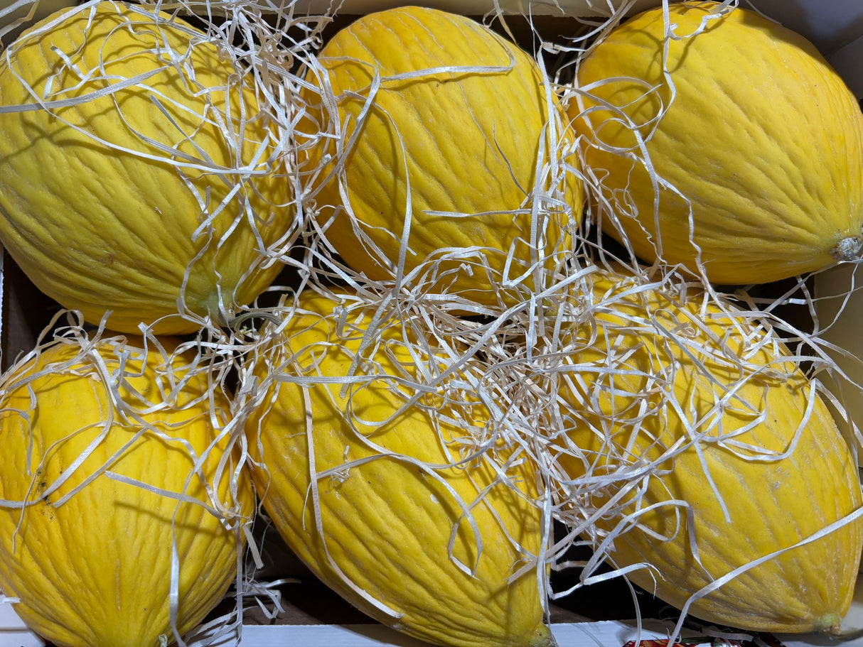 FRESH FRUITS MELON HONEYDEW £1.75 AL KG (APPROX 8 KG) - ONLY LONDON AREA
