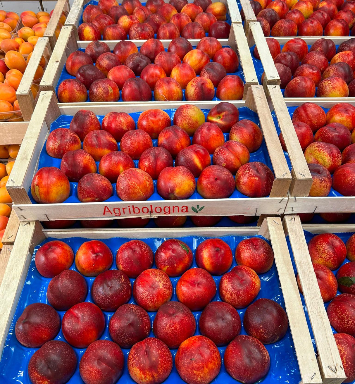 FRESH FRUITS PEACH NECTARINE TRY CAL 24 £3.43 AL KG (APPROX 4.9 KG) - ONLY LONDON AREA