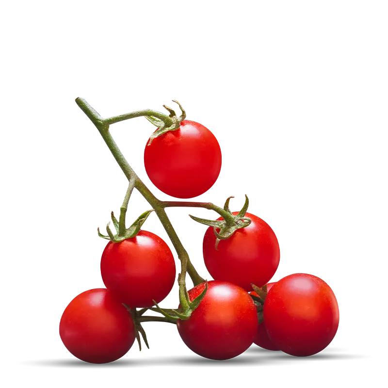 ROSSO GARGANO POMODORI DI PUGLIA TIN 400 GR (24 in a box)