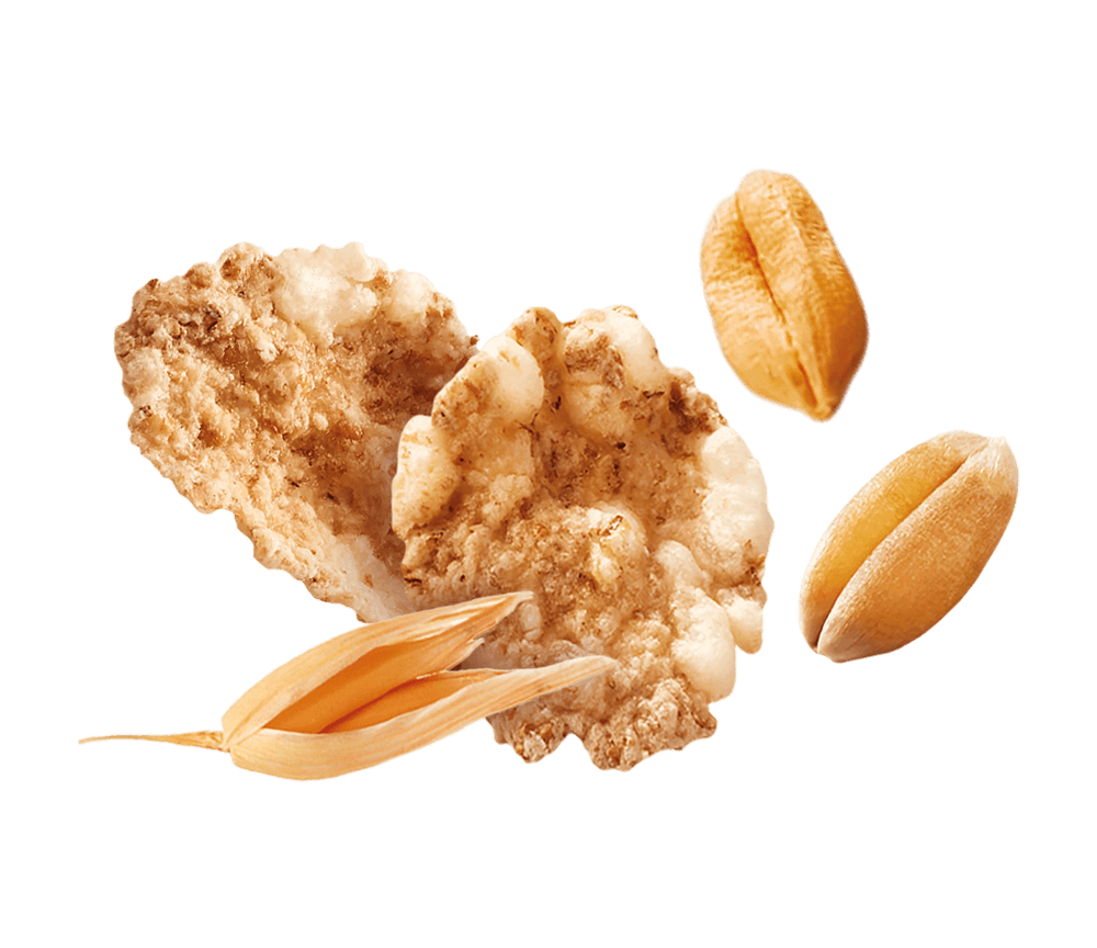 MISURA PROTEIN CEREALS WHEAT RICE AND OATS 320 GR (10 in a box)