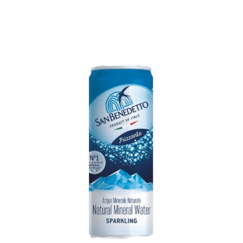 SAN BENEDETTO CARBONATED WATER CANS 330 ML (24 in a box)