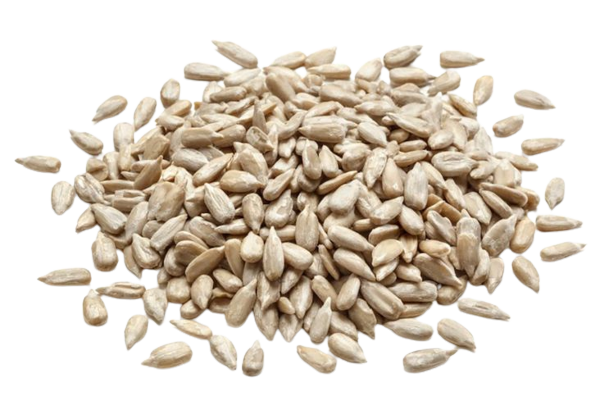 SEEDS OF SUNFLOWER 1 KG (1 in a box)