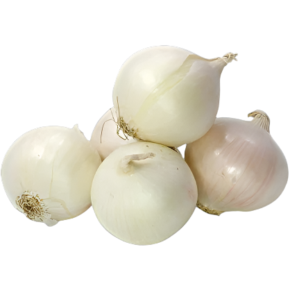 FRESH VEGETABLES ONION WHITE 80/100 £1.21 AL KG (APPROX 10 KG) - ONLY LONDON AREA