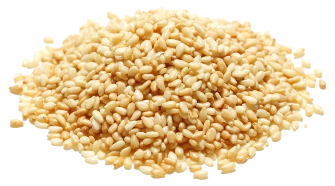 SCHIOPPI SEEDS SESAM 5 KG (1 in a box)