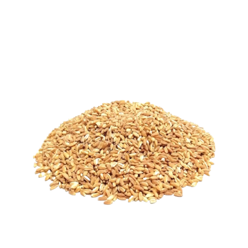 SCHIOPPI DRIED VEGETABLES FARRO DECORTICATO 5 KG (1 in a box)