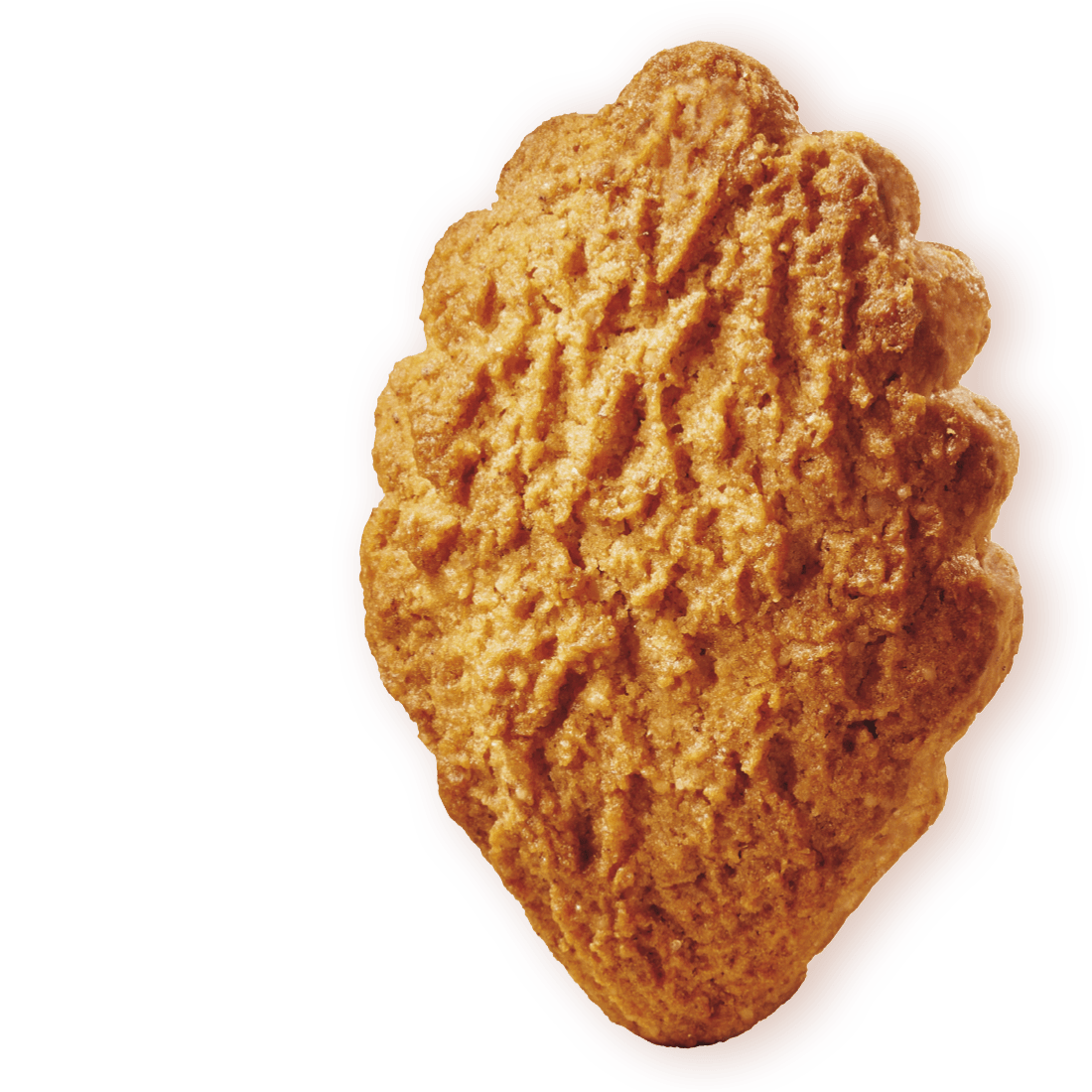 MULINO BIANCO BISCOTTI WHOLEMEAL PRIMIZIE 700 GR (12 in a box)