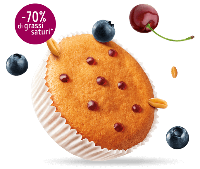 MISURA PRIVOLAT TORTINI CHERRY AND BLUEBERRY X6 290 GR (10 in a box)