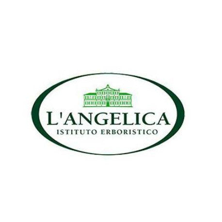 L'Angelica