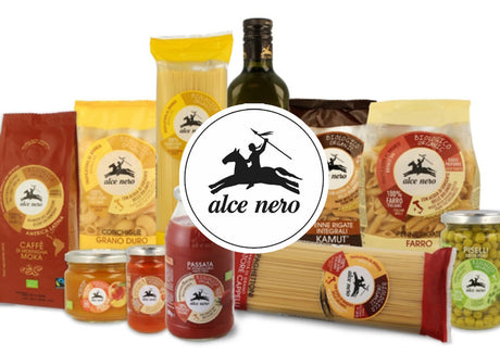 Alcenero