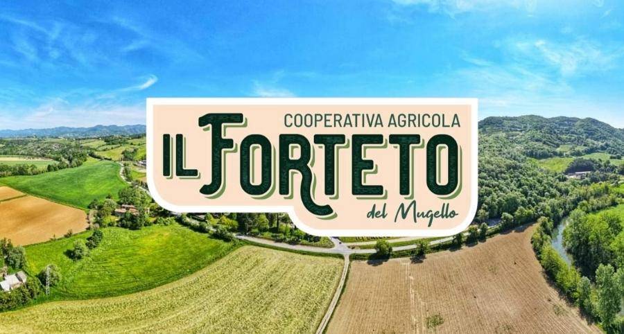 Forteto