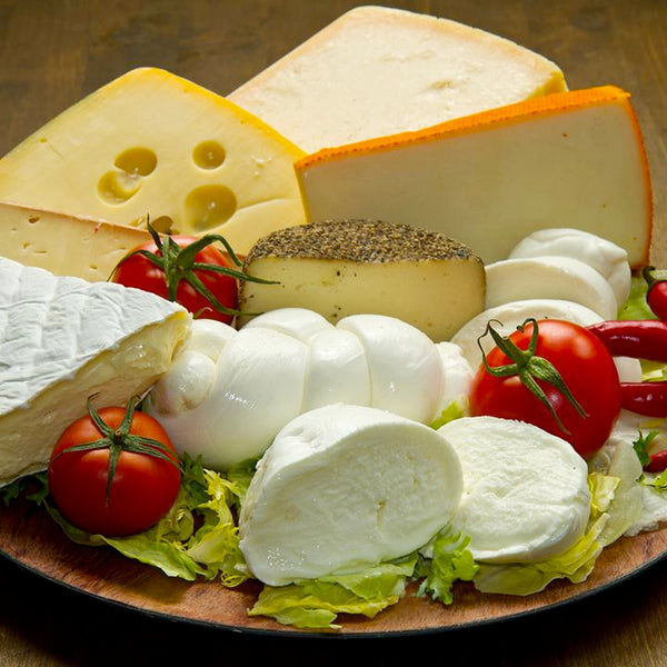 Cheese & Dairy