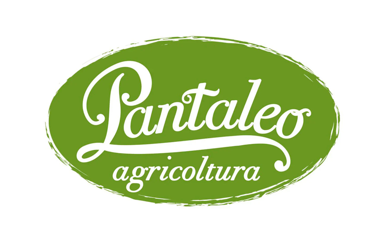 Pantaleo