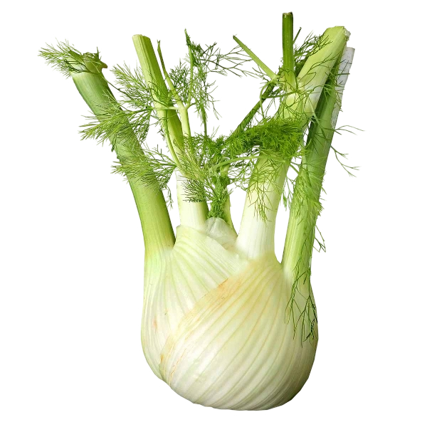 FRESH VEGETABLES FENNEL 14/16 PCS £2.25 AL KG (APPROX. 4.5 KG ) - ONLY LONDON AREA