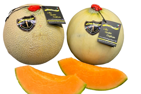 FRESH FRUITS MELON ZERBINATI X6 £7.18 AL KG (APPROX 6.7 KG) - ONLY LONDON AREA