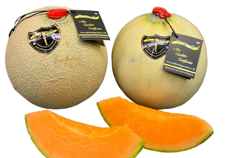 FRESH FRUITS MELON ZERBINATI X6 £7.18 AL KG (APPROX 6.7 KG) - ONLY LONDON AREA