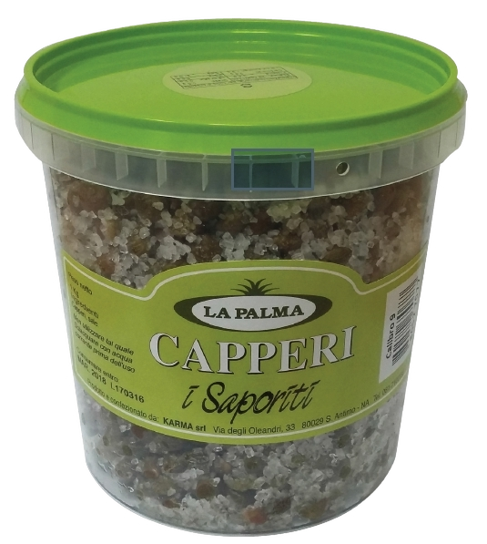 LA PALMA CAPERS IN SALT SMALL 1 KG (1 in a box)