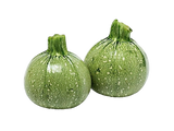 FRESH VEGETABLES COURGETTES ROUND £3.31 AL KG (APPROX 5.6 KG) - ONLY LONDON AREA