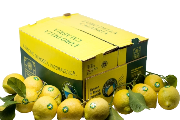 DELIZIE CALABRIA PESTO LEMON AND OLIVES LIMONE IGP ROCCA IMPERIALE 190 GR (12 in a box)