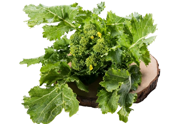 FRESH VEGETABLES CIME DI RAPA £3.63 AL KG (APPROX 6.8 KG) - ONLY LONDON AREA