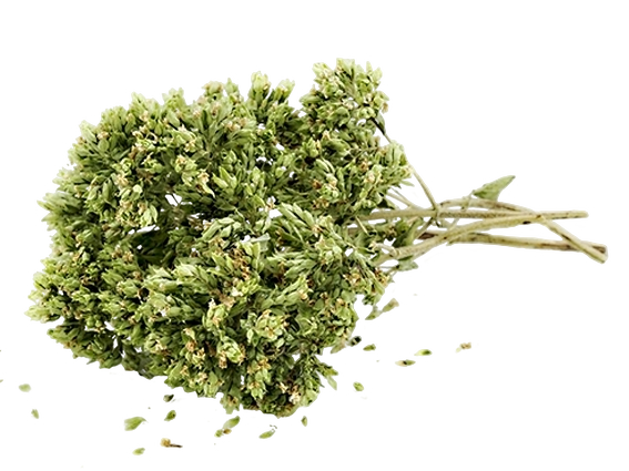 FRESH VEGETABLES OREGANO DRY 100 GR (16 in a box ) - ONLY LONDON AREA