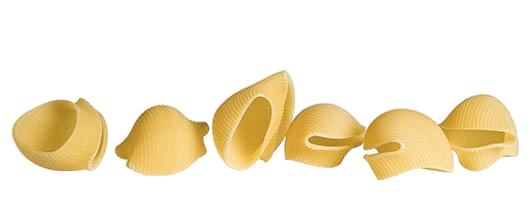 GAROFALO PASTA DI GRAGNANO IGP FORMATI SPECIALI LUMACONI 500 GR (12 in a box)