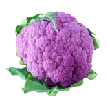 FRESH VEGETABLES CAULIFLOWER PURPLE £3.31 AL KG (APPROX 8.25 KG) - ONLY LONDON AREA