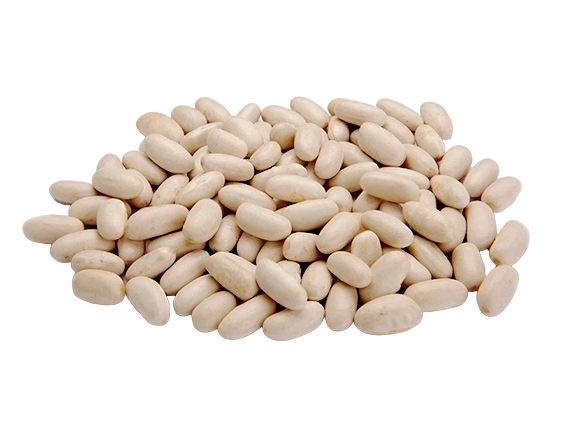 FRESH VEGETABLES DRY BEANS CANNELLINI 5 KG (1 in a box) - ONLY LONDON AREA