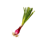 FRESH VEGETABLES ONION GRELOT RED CIPOLLOTTO BUNCH £3.87 AL KG (APPROX 7.8 KG) - ONLY LONDON AREA