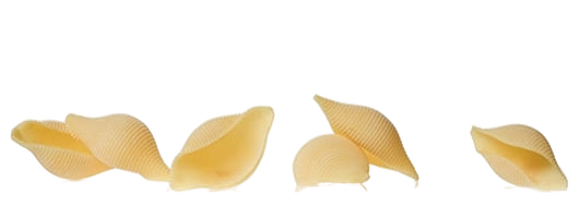 GAROFALO PASTA DI GRAGNANO IGP FORMATI SPECIALI CONCHIGLIONI 500 GR (12 in a box)