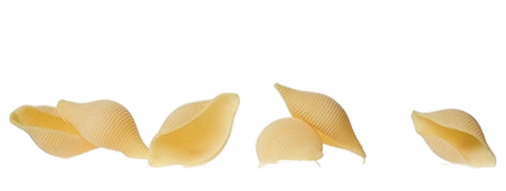 GAROFALO PASTA DI GRAGNANO IGP FORMATI SPECIALI CONCHIGLIONI 500 GR (12 in a box)