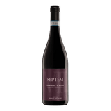 MASSIMO RATTALINO RED WINE BARBERA D'ALBA DOC " SEPTEM ", PIEDMONT, ITALY 2022 75 CL (6 IN A BOX)