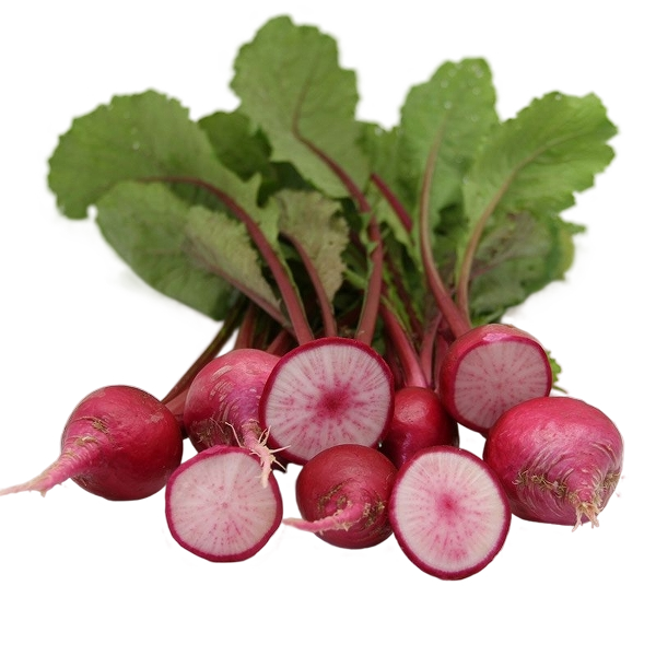 FRESH VEGETABLES TURNIPS RED X10 BUNCHES (1 in a box) - ONLY LONDON AREA