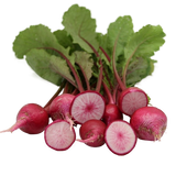 FRESH VEGETABLES TURNIPS RED X10 BUNCHES (1 in a box) - ONLY LONDON AREA