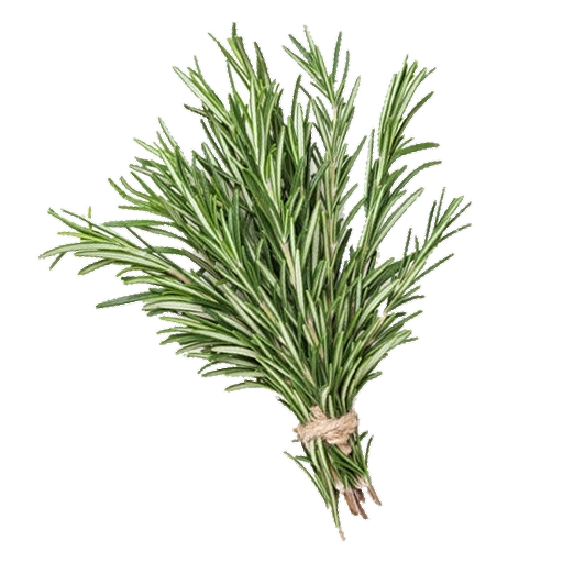 FRESH VEGETABLES ROSEMARY X10 BUNCHES OF 100 GR (1 in a box ) - ONLY LONDON AREA