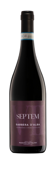 MASSIMO RATTALINO RED WINE BARBERA D'ALBA DOC " SEPTEM ", PIEDMONT, ITALY 2022 75 CL (6 IN A BOX)