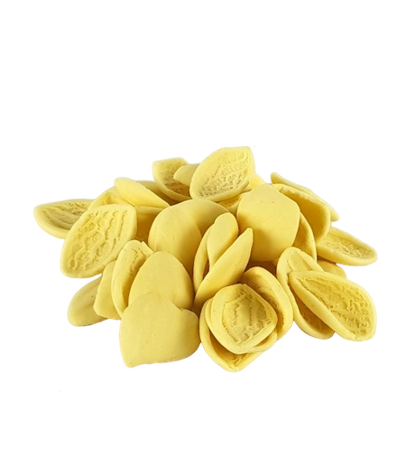 IEBBA FRESH PASTA STRASCINATI 500 GR (12 in a box)