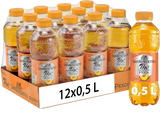 SAN BENEDETTO TEA PEACH PET 500 ML (12 in a box)